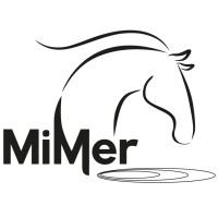 MiMer Centre logo - Similar company to Well-Being Lab