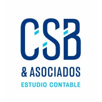 CHINNI SELEME BUGNER Y ASOCIADOS logo - Similar company to Limayser