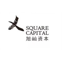 X Square Capital logo - Similar company to Uxmock