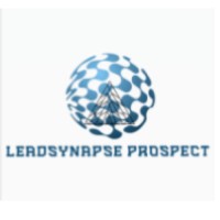 LeadSynapse Prospect logo - Similar company to Digital Dash