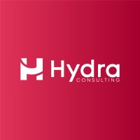 Hydra Consulting logo - Similar company to Shadow Your Future Gmbh