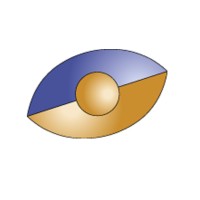 Visualsoft México logo - Similar company to Pcsistel ®