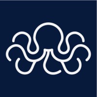 OCTUS | Your Transformation Partner logo - Similar company to Boundary Devices