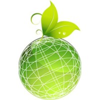 Global Investments