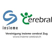 Vereinigung insieme Cerebral Zug logo - Similar company to Nc Consulting