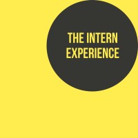 InternExperience logo - Similar company to Firstsalary Foundation