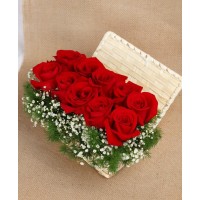 Dubia Roach King logo - Similar company to Work With Us In Canada/Dubia