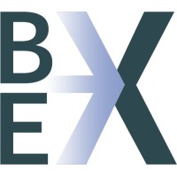 Be-X logo - Similar company to Bex Consulting Services