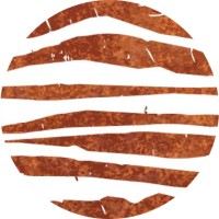 Carve Architects logo - Similar company to Thomas Architecture Studios