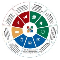 Birkman Consultancy logo - Similar company to Birkman Ch