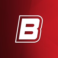 BOERO AUTOPARTES logo - Similar company to Danes Srl