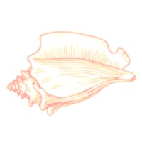 SHELLMARK TEXTILE AGENCIES LIMITED logo - Similar company to Otn Textile