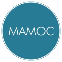 Mamoc Worldwide Private Limited logo - Similar company to Currentaffairs.Guide