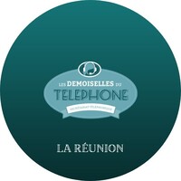 Les Demoiselles du Téléphone, La Réunion 🔹️ Permanence Téléphonique - Télésecrétariat logo - Similar company to Perform'Ants 👨🎓