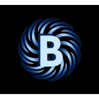 Bizemag logo - Similar company to Admyted