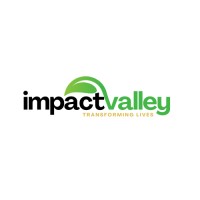 The ImpactValley logo - Similar company to Peige 360