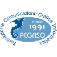 Pegaso logo - Similar company to Icdq Srl