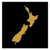 NZ Wealth Planning logo - Similar company to The Wellspring Group