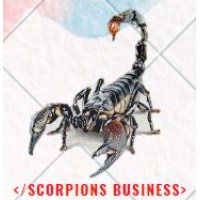 SCORPIONS BUSINESS logo - Similar company to White Hat