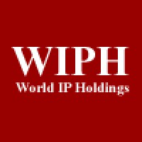 World Intellectual Property Holdings Inc. （株）国際総合知財ホールディングス logo - Similar company to Intellectual Property Law Firm Evorix