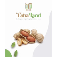 TAHA LAND | EGYPTION EXPORTER OF PEANUTS logo - Similar company to Agro Af
