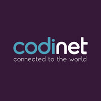 Codinet logo - Similar company to Nestholma