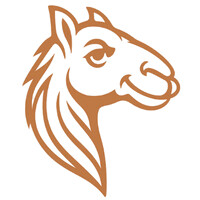 Camelus.io logo - Similar company to Camelus
