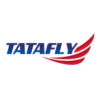Tata Fly Shipping WLL logo - Similar company to Eurozone Global Freight Wll