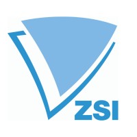 Centre for Social Innovation (ZSI) logo - Similar company to Ianus Project