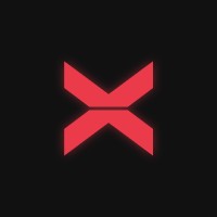 XBorg logo - Similar company to Liteflow
