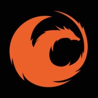DragonStake logo - Similar company to Infinite Labs