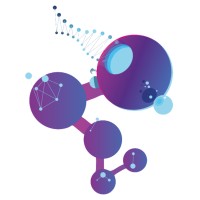 Descent STIS logo - Similar company to Kulkul Technology