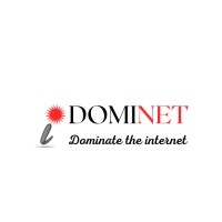 DomiNet Digital Marketing Solutions LLP logo - Similar company to Evasion Digital Marketing Solutions
