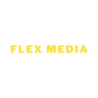 The Flex logo - Similar company to Kids World Fun