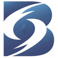 Bay Street Professionals Group