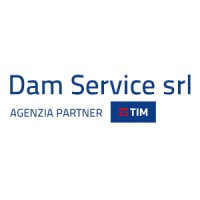 Dam Service srl logo - Similar company to Grelù Srl