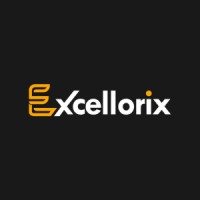 Excellorix logo - Similar company to Mavenor, Llc