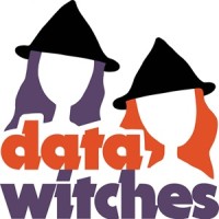 Data Witches logo - Similar company to Onmetrix
