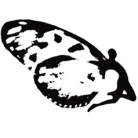 Scenarios logo - Similar company to Derailed Douchebaggery
