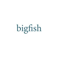 Bigfish logo - Similar company to Bigfish