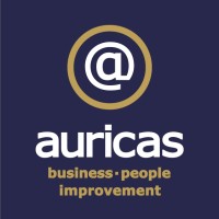 Auricas Ltd logo - Similar company to Techsavi It