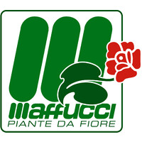 Floricoltura Luca Maffucci logo - Similar company to Joyflo