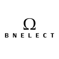 BN ELECT ABB logo - Similar company to Sarl Entec Engineering Technics
