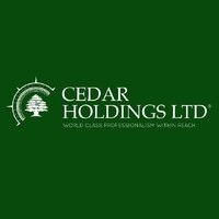 Cedar Holdings Limited logo - Similar company to Aguila Group Limited