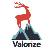 Valorize, LLC logo - Similar company to Valorize Solutions