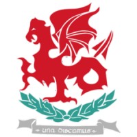 Wellington College Belfast logo - Similar company to Our Lady And St Patrick'S College, Knock