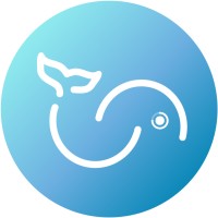 Swimitime logo - Similar company to Codress