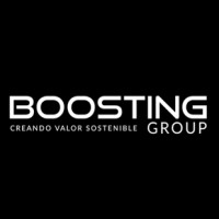 Boosting Group logo - Similar company to Opvlogistics