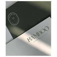 Bamboo Group logo - Similar company to Correlate Search (Now Pure Search Financial Services)