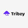 Tribzy logo - Similar company to Mindlr